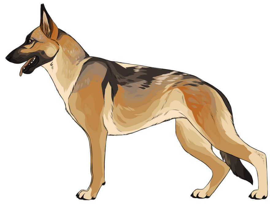 Value: $0.00 // ★ Design by Cosmic.Haven_Adopts / Lines by Zirvasity